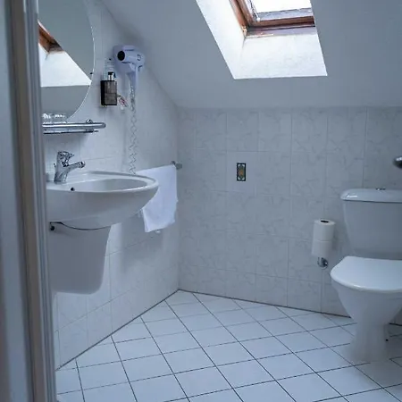 Hotell Praha 3*